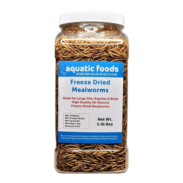Mealworms-- Freeze Dried Mealworms for Tropical Fish, Pond Fish ...
