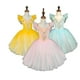thumbnail image 1 of Falda de ballet para niños Falda de baile para niñas Disfraces de actuación colectiva del programa infantil Disfraces de actuación de baile, 1 of 2