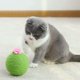 thumbnail image 3 of Postes rascadores para gatos de cactus, juguete interactivo para gatos, postes rascadores en forma de cactus con flor, árboles para gatos, con bola para gatos, regalo para gato, 3 of 5