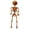 Orange, variant on QLUEWX Gray Halloween Faux Skeleton Decorations, 19.7" Realistic Posable Faux Pumpkin Head Skeleton Home Decor, Spooky Hanging Prop Party Supplies, Halloween Decor for Indoor Outdoor Haunted House