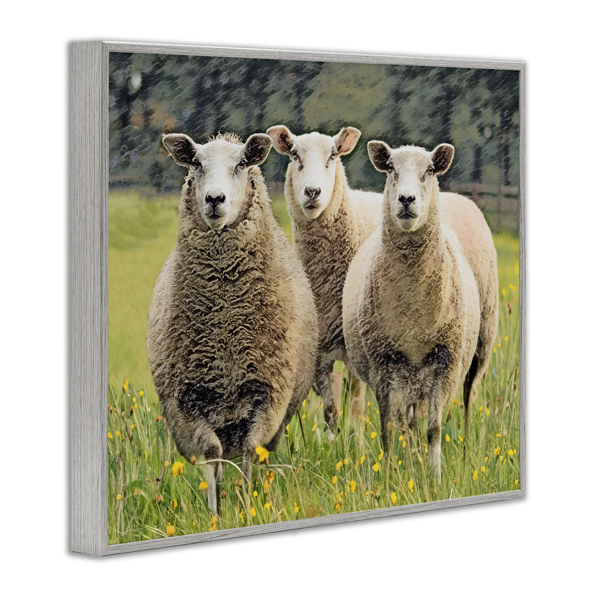 Stupell Industries Sheep Grazing in Grass Animals & Insects Painting Gray Framed Art Print Wall Art, 30 x 24