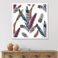 thumbnail image 3 of Designart 'Colourful Boho Art Feather Set V' Bohemian & Eclectic Framed Art Print, 3 of 4