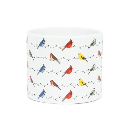 Set of 2 Multi Birds Small Planter