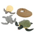 thumbnail image 2 of Juguete de ciclo de de animales realistas educativos para Tortuga Sunnimix Juego de crecimiento de insectos para niños, 2 of 8