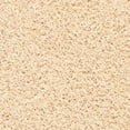 thumbnail image 6 of SAFAVIEH Clyde Solid Plush Polyester Shag Area Rug, Cream, 4' x 6', 6 of 7
