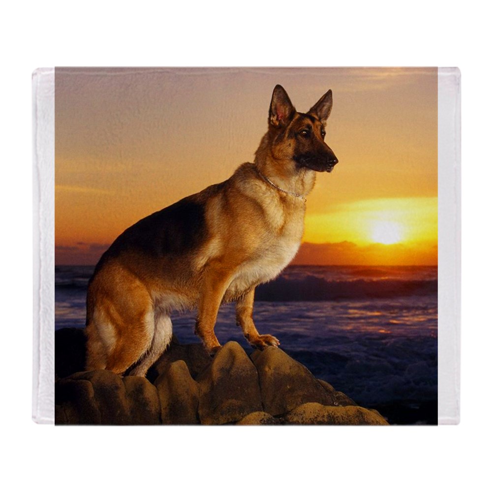 CafePress Beautiful German Shepherd Soft Fleece Throw Blanket, 50