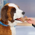 thumbnail image 3 of FurReal Millie Mon Chiot Aimant, 3 of 6