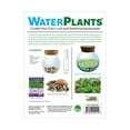 thumbnail image 4 of WaterPlants- Create Your Own Lush and Soothing Aquasacape Terrarium Starter Kit, Indoor Plant Glass Globe Terrariums with Powerful 3 LED Light and Complete Supplies, Just Add Water!, 4 of 9