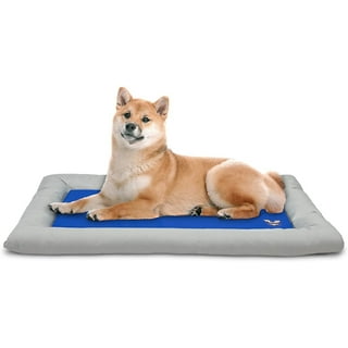 Arf Pets Pet Dog Self Cooling Solid Gel Mat Pad for Kennels, Crates and  Beds, 35 L X 23 W