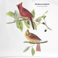 thumbnail image 2 of CafePress - Audubon Northern Cardinal Bird Cap - Adjustable 100% Brushed Unisex Casual Cotton Baseball Cap, Beige, 1, 2 of 2