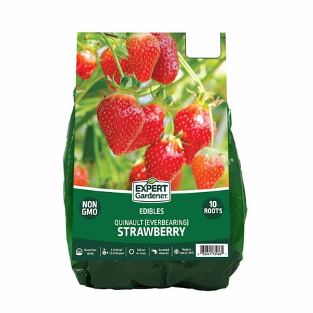 Expert Gardener Strawberry Quinault Bare Roots Set of 10, Full Sun, Red, Annual
