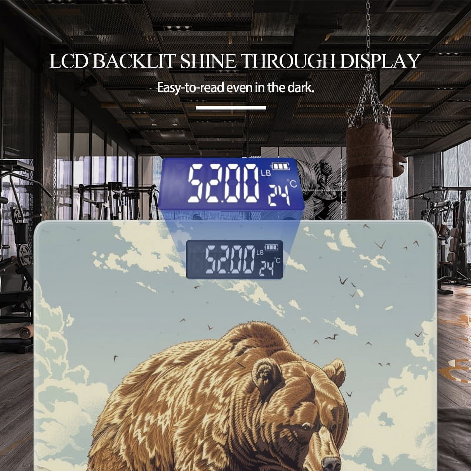 Bathroom Scale, Highly Accurate Digital Body Scale,Precisely Measures Weight up to 400 lbs-Grizzly Bear In The Desert