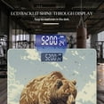 thumbnail image 3 of Bathroom Scale, Highly Accurate Digital Body Scale,Precisely Measures Weight up to 400 lbs-Grizzly Bear In The Desert, 3 of 4