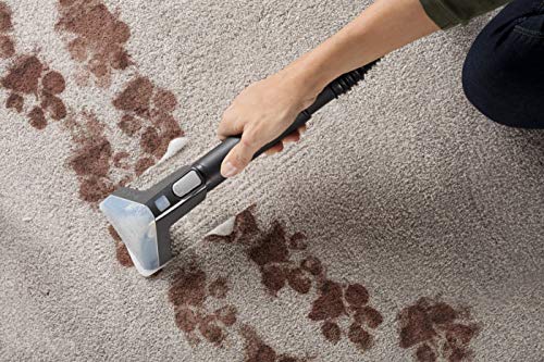 Hoover FH50250 Power Scrub Elite Carpet 