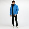 thumbnail image 4 of Regatta Mens Dover Waterproof Windproof Jacket, 4 of 5