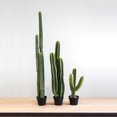 thumbnail image 4 of Arbre à cactus, 63", 4 of 4