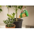 thumbnail image 6 of Miracle-Gro Shake 'N Feed Continuous Release Citrus, Avocado & Mango Plant Food 4.5 lb., 6 of 6