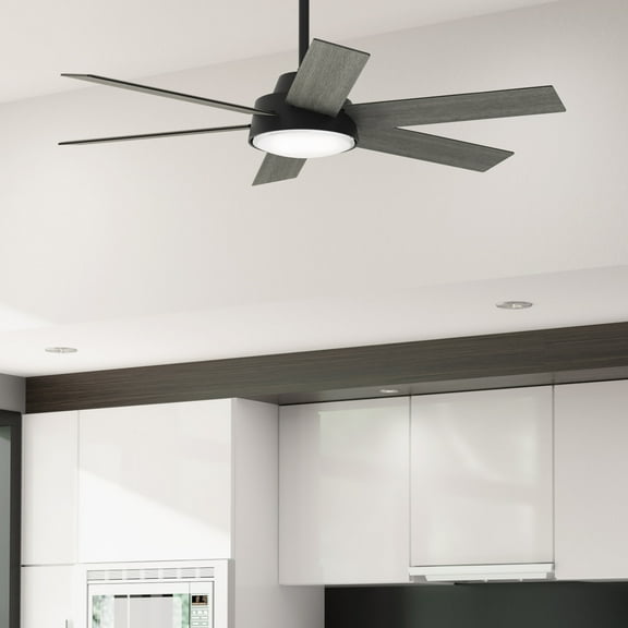 Hunter - Donatella Indoor Ceiling Fan With Light, Remote, 52-inch, Matte Black, Modern-style, 4-speed WhisperWind Motor, 51853, for Living Rooms, Bedrooms