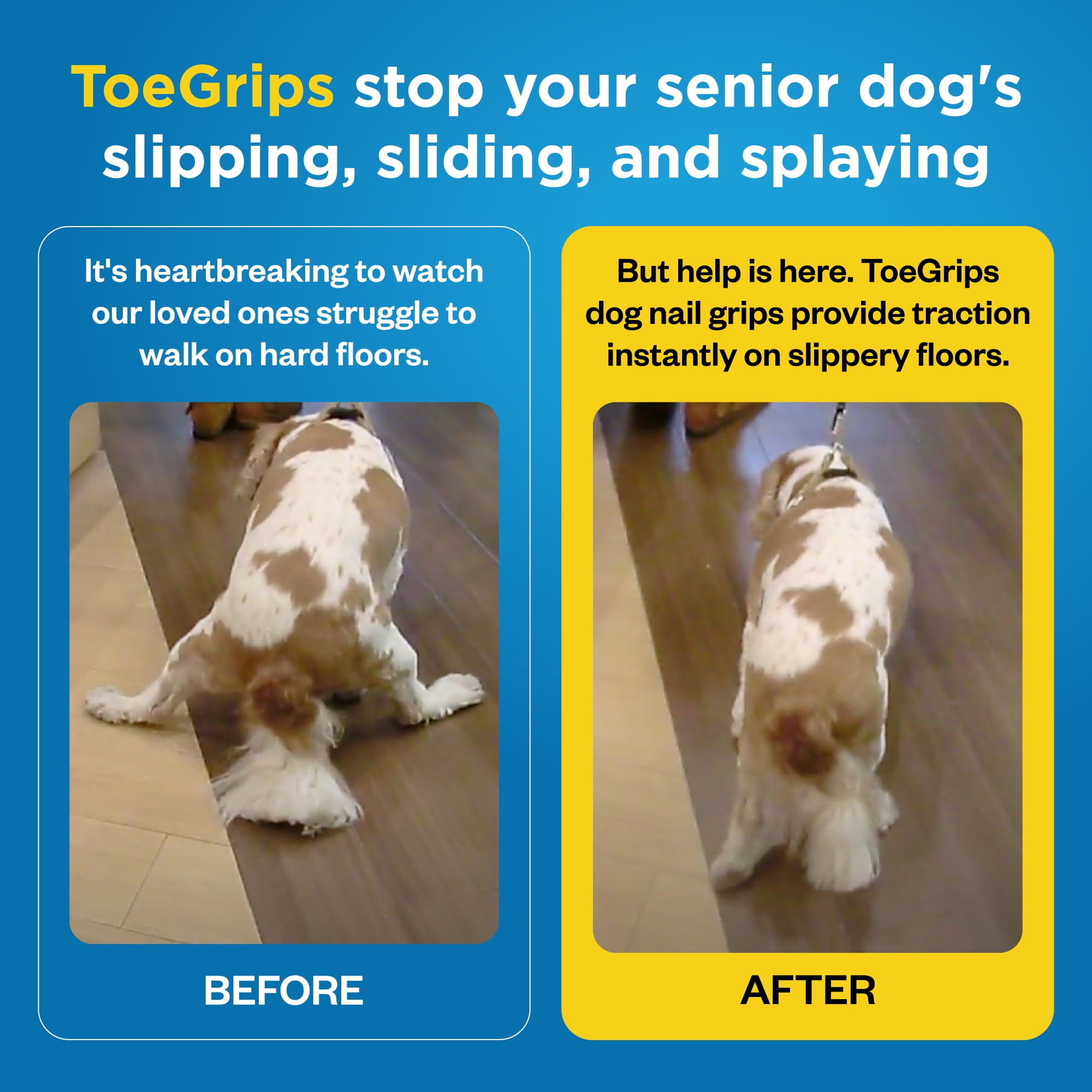 Dr Buzby's Small ToeGrips for Dogs - Instant Traction on Wood/Hardwood Floors -1 Pack (20 Grips)