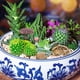 thumbnail image 2 of 10 piezas de adornos de muebles de jardín en miniatura, mini mesas y sillas, figuras en miniatura, decoración de resina, microadornos para paisajismo., 2 of 6
