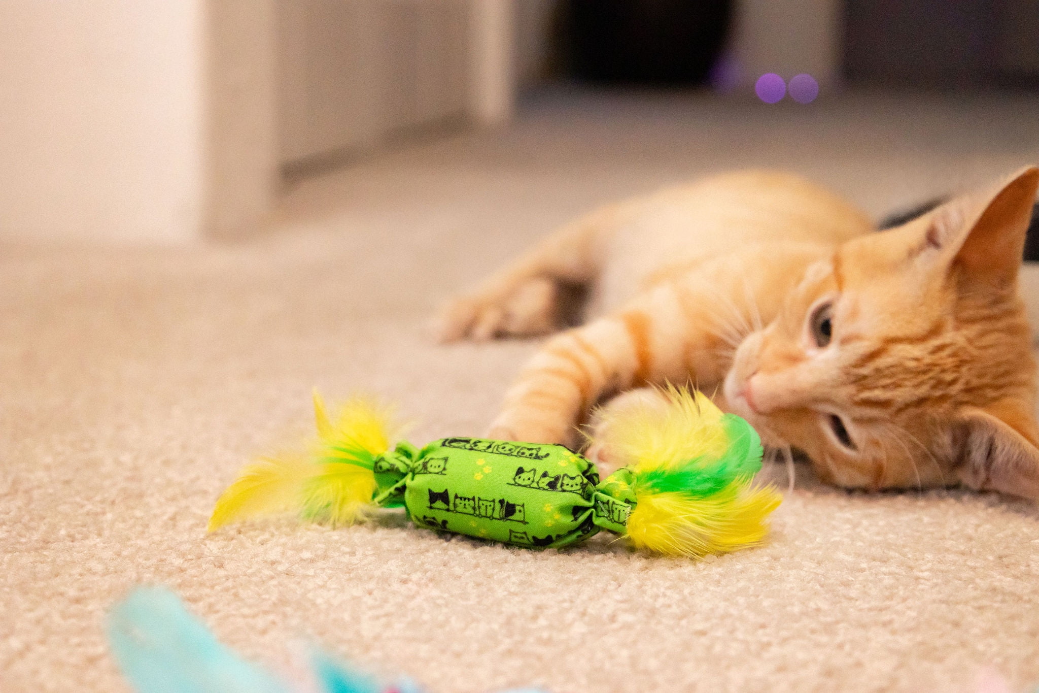 Vibrant Life Catnip Candy Cat Toy with Feathers and Bell, Assorted Colors