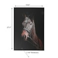 thumbnail image 2 of Framed Canvas Wall Art Horse, 2 of 3