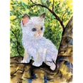thumbnail image 1 of Carolines Treasures SS8279CHF 28 x 40 Po. Drapeau Chat Ragdoll Toile Taille Maison, 1 of 4