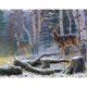 thumbnail image 1 of Drill Diamond Painting (DE3463) 5D DIY Animales completos Kit de punto de cruz Wall Art (W292) 30x40cm Hugtrwg Para estrenar, 1 of 1
