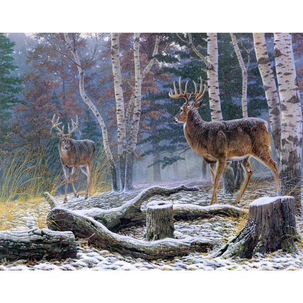 Drill Diamond Painting (DE3463) 5D DIY Animales completos Kit de punto de cruz Wall Art (W292) 30x40cm Hugtrwg Para estrenar
