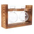 thumbnail image 3 of LABSERRON Hydroponic Flower Vase Glass 1Set 7.66X2.28X5.11Inch, 3 of 8