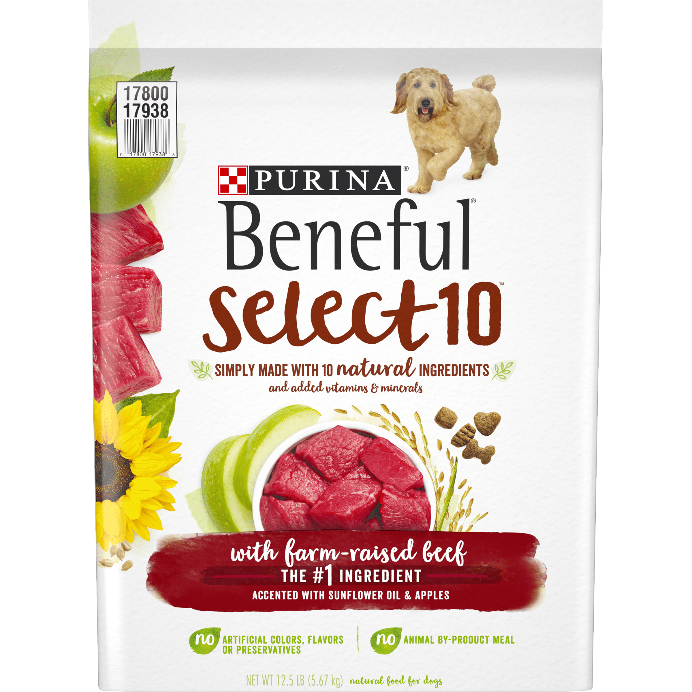 Purina Beneful Natural Dry Dog Food 