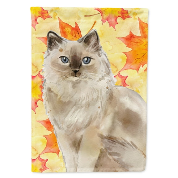 Carolines Treasures CK3082CHF Ragdoll Fall Leaves Flag Canvas House Size  Large multicolor