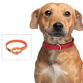 thumbnail image 4 of Safety Training Collar,Buckle Reflective Adjustable Heavy Duty Slip Collar for Small Dogs - Orange, 4 of 5