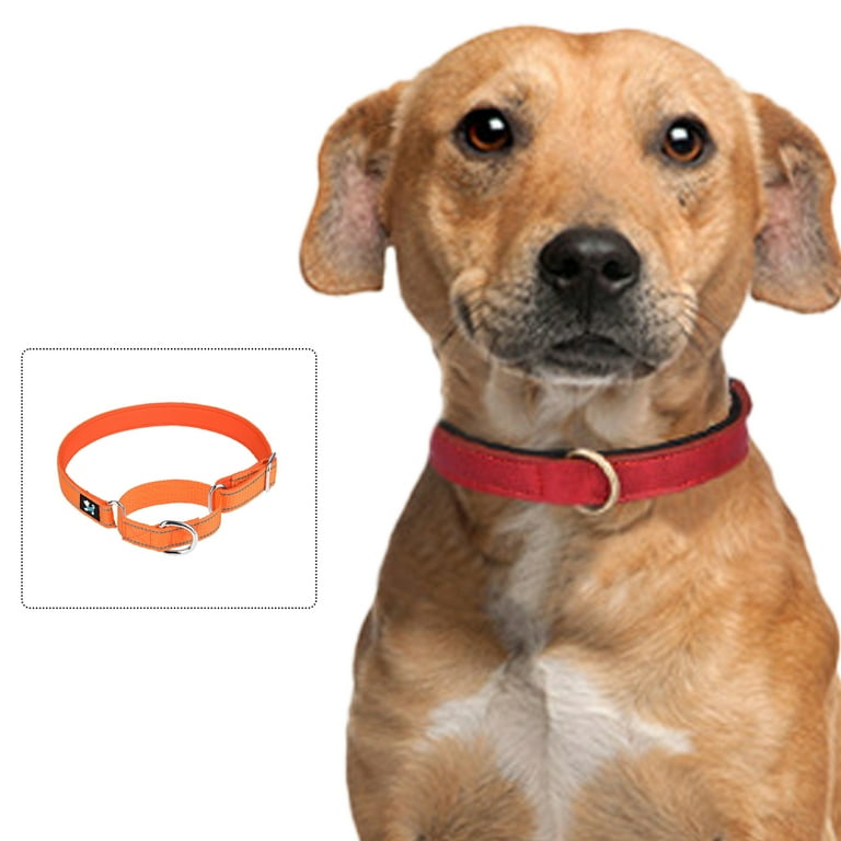 Safety slip collar 2025