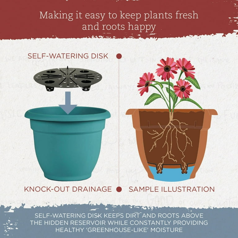 Bloem Ariana Self Watering Planter 16 Bloem Ariana Self Watering Planter 16