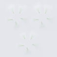 thumbnail image 5 of 6D Green Color Lashes, 1000 Premade Volume Fans, Eyelash Extensions. Handmade! D Curl - 9 to 16mm, 5 of 5