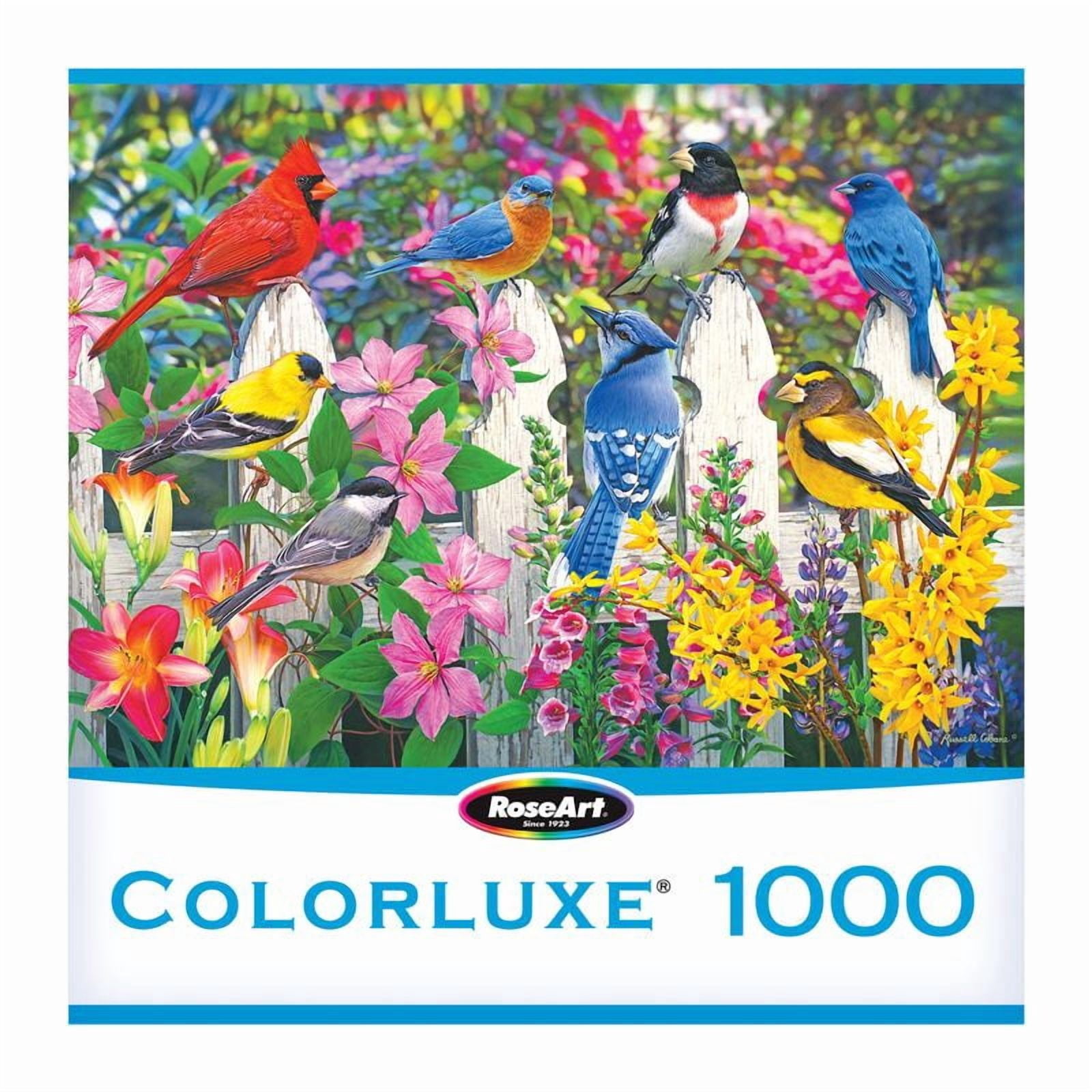 COLORLUXE 1000PC MEETING PLACE