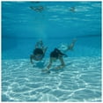 thumbnail image 4 of Swimways Finding Dory Dive Characters, Pack of 3 Diving Toys, 4 of 5