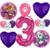 Paw Patrol Girls Party Supplies Balloon Decoration Bundle for 3rd Birthday