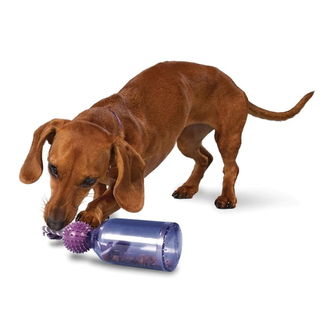Juguete Dispensador de Comida para Perros Petsafe Busy Buddy Tug-A-Jug Pequeño