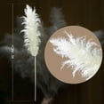thumbnail image 4 of 10pcs 40'' Pampas Grass Tall Decor - Pompas Floral, Tall Pampas Grass for Floor Vases, Living Room Floor, Floor Plants, Plumas para, and Grass Wall Decor, 4 of 6