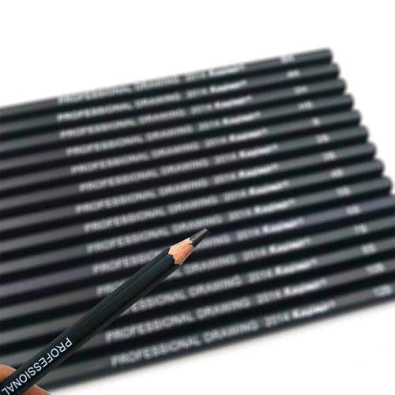 High-density Woodless Graphite Pencil Set Drawing Pencil Kit Essential  Sketching Pencils Art Pencils Set 2H 2B 4B Assorted Degrees for Beginner