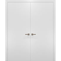 SARTODOORS Closet French Stain Resistant Double Doors, 120 lbs, 48 x 80"