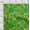 Green, variant on oneOone Polyester Lycra Green Fabric Batik Sewing Material Print Fabric By The Yard 56 Inch Wide - 7C
