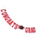 thumbnail image 2 of KAKOWELY Banner de fondo fotográfico decorativo para fiesta de graduación de 2022, decoración colgante, 2 of 4