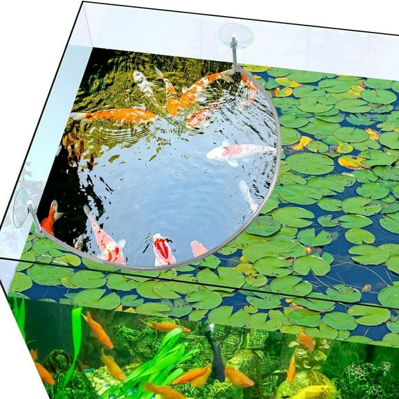 UNTERING Aquariums Floating Plant Floating Plant Fence Fish Feeding Rings for Fishtanks Househould Fishtanks Supplies