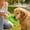 Green, variant on FeiFu Dog Water Bottle Bowl Adapter Silicone Travel Pet Drinking Cup Foldable Leaf Design Leak Proof Portable Outdoor Puppy Water Dispenser Taza de Agua para Perros