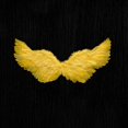 thumbnail image 1 of Hbdhejl Performance sur Scène avec Plumes d'Ange pour Festivals et Carnavals, 1 of 4