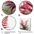 thumbnail image 3 of Designart "Ferns Ruby quintessence I" Floral Floater Framed Canvas Wall Art, 3 of 7