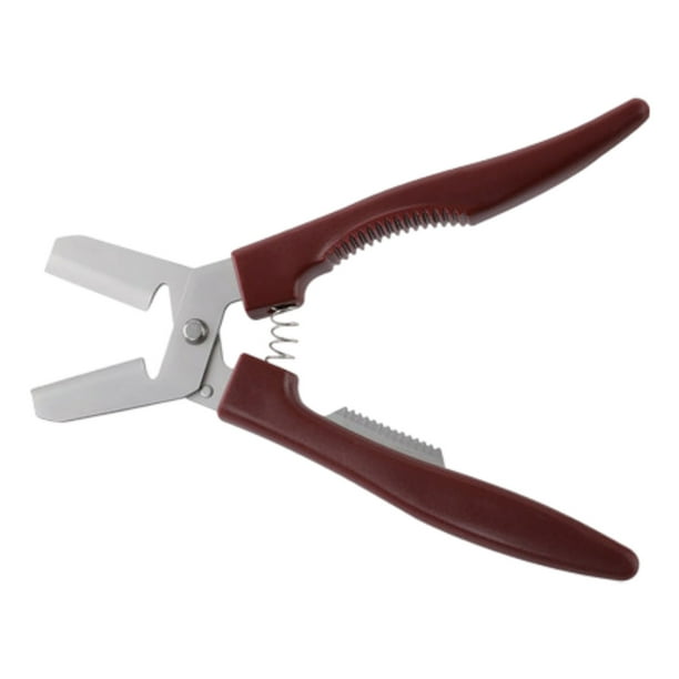 Pinza para nueces Pelador manual de castañas de acero inoxidable Pinza para frutos secos Apto para nueces y almendras Apto para todas las edades y géneros Se puede usar en reuniones en casa